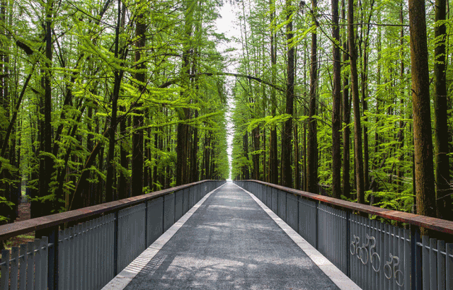 16079290266678532DC4.gif 640 (2).gif